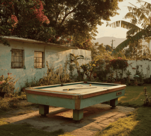 shuffleboard